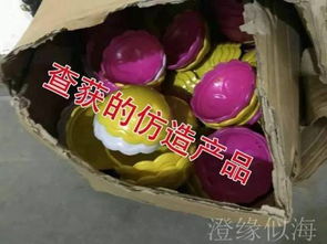 智斗假冒廠家 澄海玩具廠成功索賠20萬